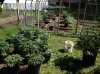 photo 2 [1585163].JPG