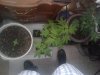 20170607_160826.jpg