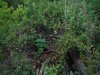 DSCF4811.JPG