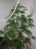 20170606_120726.jpg