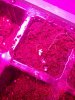 20170608_162021.jpg