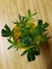 20170608_033451.jpg