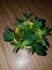 20170608_033421.jpg