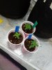 20170606_183313.jpg