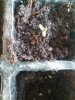 20170609_095039.jpg