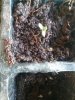 20170609_095044.jpg
