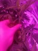 20170609_051819.jpg