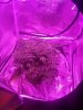 20170609_051749.jpg