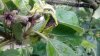 20170608_190940.jpg 20170608_190940.jpg