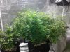 20170608_224927.jpg