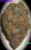 Grand_Daddy_Purp_001.jpg