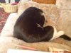 DSC00097.jpg