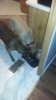 20170606_072906.jpg