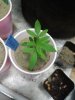 20170612_222250.jpg