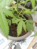 IMG_20170613_103841.jpg