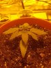 20170613_132408.jpg