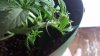 20170613_201055.jpg