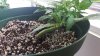 20170613_200932.jpg