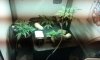 20170615_182806.jpg