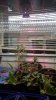 20170615_140334.jpg