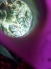 20170616_083532.jpg