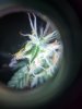 20170616_083510.jpg