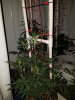 20170616_121526.jpg
