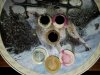 20170524_080858.jpg