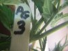 pg-3-2.JPG