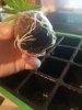 20170618_122931.jpg