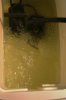 IMG_3898.JPG IMG_3898.JPG