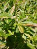 20170619_134849_HDR.jpg