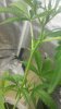 20170620_110717.jpg