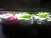 20170620_070117.jpg