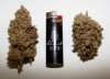 bestnugs.jpg
