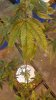 20170620_124443.jpg