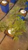 20170620_124425.jpg