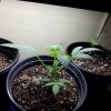20170623_004946.jpg