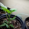 20170623_011757.jpg