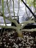 20170623_194500.jpg