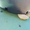 20170624_162658.jpg
