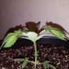 20170626_001947.jpg