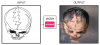 pix2pix (4).png