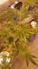 20170626_151049.jpg