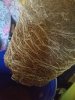 20170626_170536.jpg
