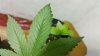 20170626_185709.jpg