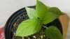 20170626_185728.jpg