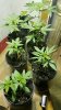 20170627_164101.jpg