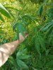 20170627_173015.jpg