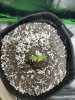 20170629_203156.jpg